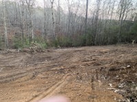 a dirt road in the middle of a wooded area